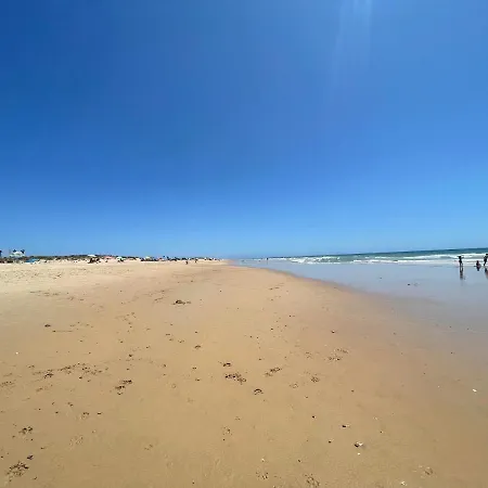 Chozito De Paja A 300m. Playa Mangueta El Palmar (Andalucia)