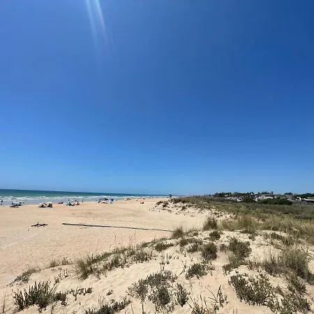 Chozito De Paja A 300m. Playa Mangueta * El Palmar (Andalucia)